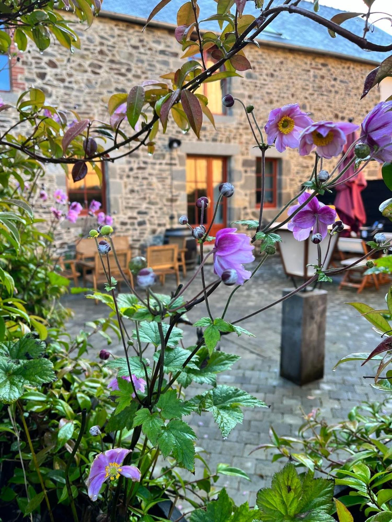 Domaine Du Tertre Ychot Hotel Dol-de-Bretagne Exterior foto